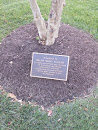 Milan Mike Puskar Memorial Tree