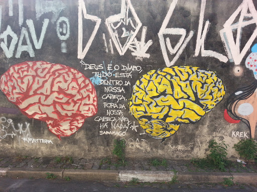 Grafitti Cérebros Irmãos 