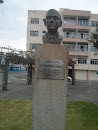 Busto José Eugênio Müller