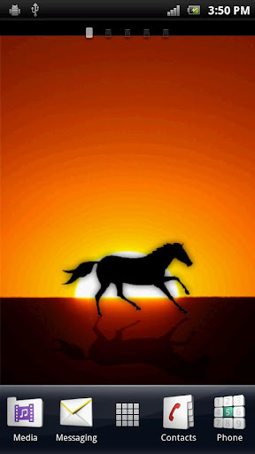 Wild Horse Live Wallpaper