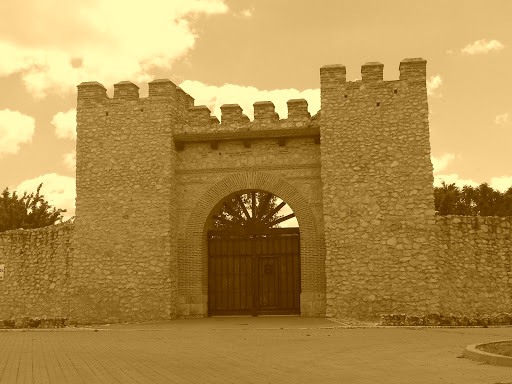 Puerta De Olmedo 