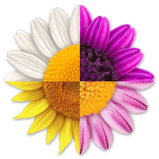 Step Flowers Pro LOGO-APP點子