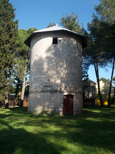 Old Forest Windmill