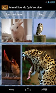 How to install Animal Sounds Quiz Version lastet apk for laptop