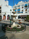 Fuente Plaza Neda