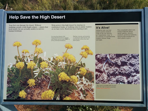 Help Save the High Desert