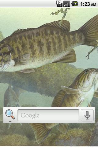 Bass Pro Live Wallpaper