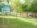 Parc Gassó-Vargas Nord