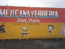 San Juan Mexicana Yerberia Cartoon Murals