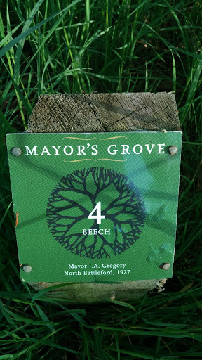 Mayor Gregory Grove
