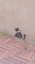 Cat Art 