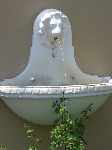 Tangiers Lion Fountain