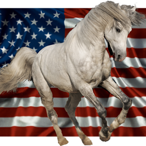Mane Attraction.apk 4.1.1