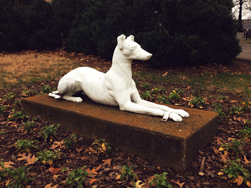 Statue of Greyhound