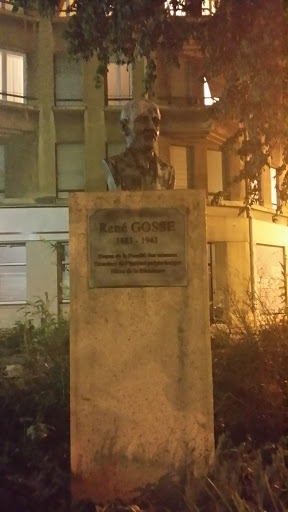 René GOSSE
