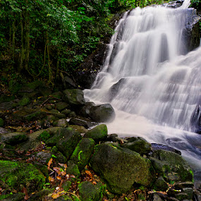 The Waterfall by Charliemagne Unggay - Nature Up Close Water ( water, waterscape, green, waterfall, rocks )