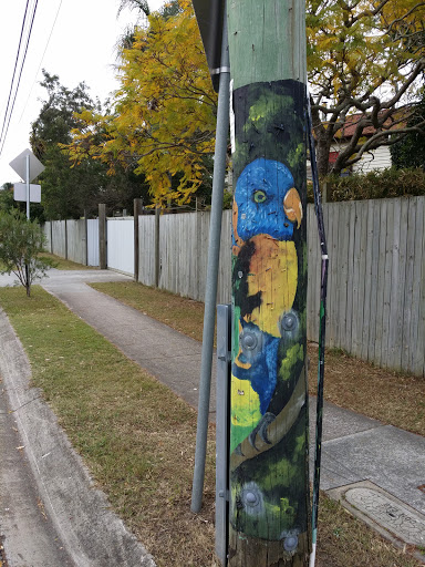 Rosella painted Pole On Ascot Dr