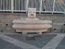 Face Fountain