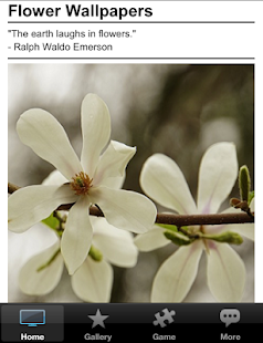 How to download Flowers HD Wallpapers 1.4 mod apk for laptop