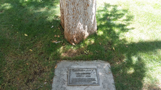 Bill Desmond Memorial Tree