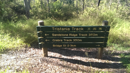 Tristania Track