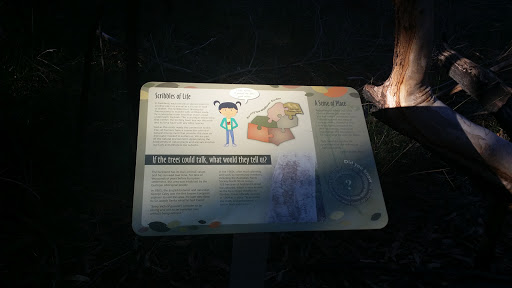 Scribbles Of Life - Scribbly Gum Information Board