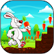 Download Bunny Run For PC Windows and Mac 2.5