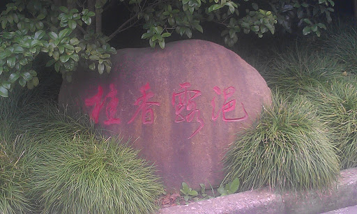 上海大学桂香露浥