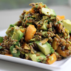Avocado and Apricot Rye Berry Salad