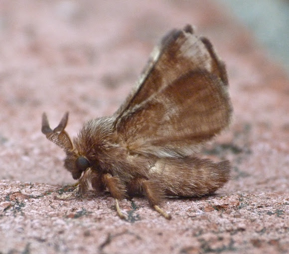Spotting Image 1