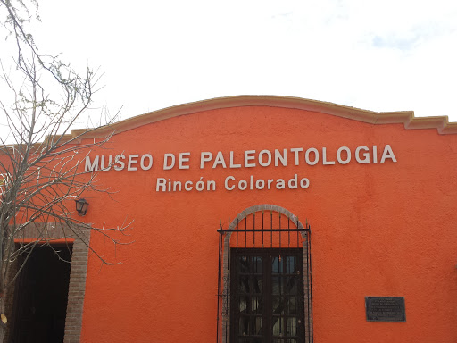 Museo De Paleontologia