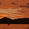 Whitsunday Islands Cutout