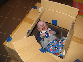 Dan in the Box