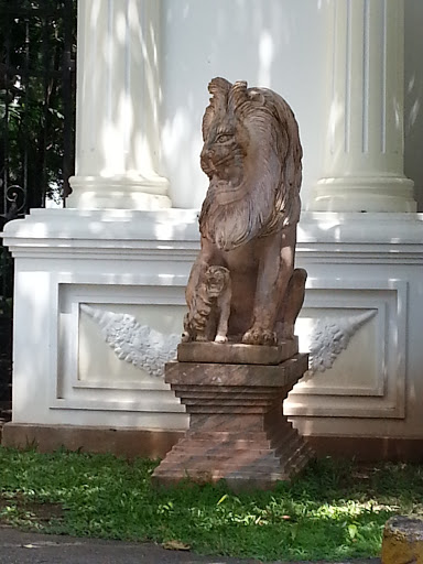 Lion and Cub at Queen's Road