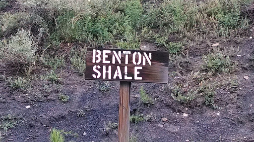 Benton Shale