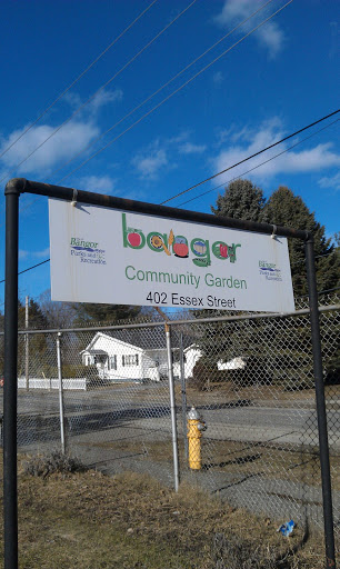 Bangor Community Garden