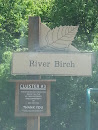 River Birch 