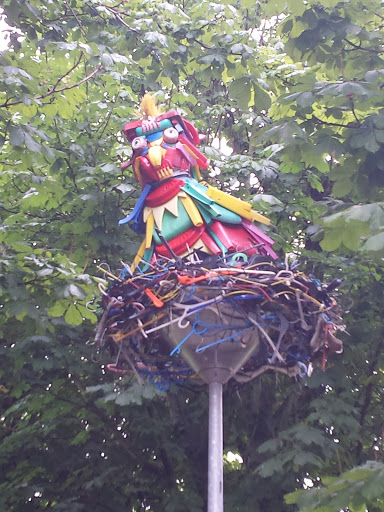 Afval Vogel Op Rommel Nest
