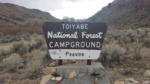 Peavine Campground 