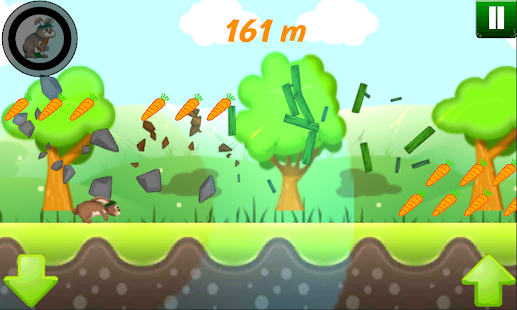 download Bunny Run 2D free