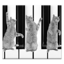 Cat Piano mobile app icon