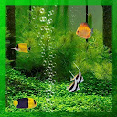 Free Aquarium Live Wallpaper mobile app icon