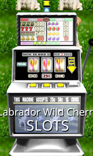 How to get 3D Labrador Wild Cherry Slots 1.0 mod apk for pc