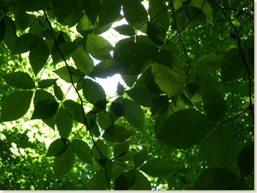 DSCN2167