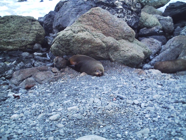 [Diversas 174[2].jpg]