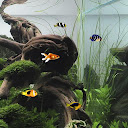 Aquarium Free Live Wallpaper mobile app icon