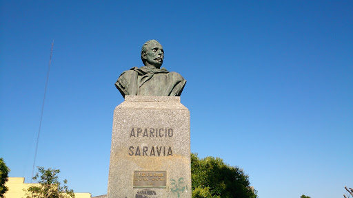 Aparicio Saravia