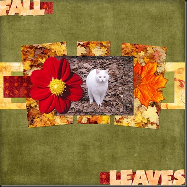 fall-leaves_600