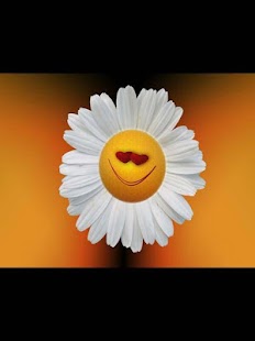 How to mod صور منوعة 1.05 unlimited apk for laptop