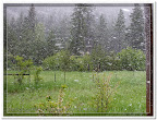 Spring snow storm near Bonner, Montana